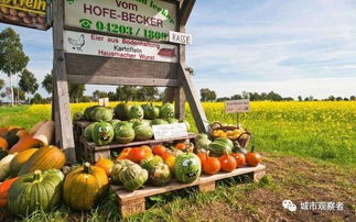 鄉(xiāng)村旅游農(nóng)產(chǎn)品創(chuàng)意升級(jí)之路