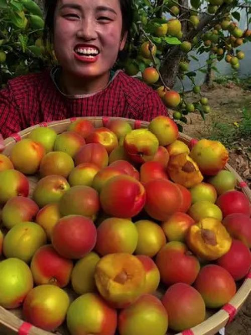 優(yōu)質(zhì)農(nóng)產(chǎn)品的價(jià)值與未來發(fā)展路徑