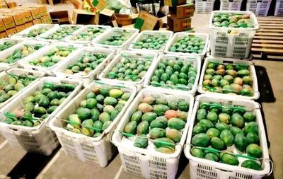 “互聯(lián)網(wǎng)+農(nóng)業(yè)”助推攀枝花西區(qū)優(yōu)質(zhì)農(nóng)產(chǎn)品走向全國