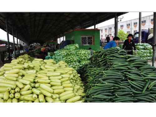 工廠蔬菜配送報價 農產品供應鏈的透明化與效率提升