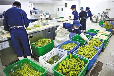 新京報 好新聞，無止境——探索中國農產品背后的故事