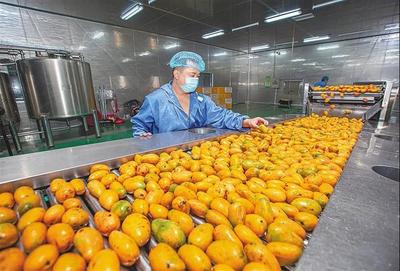 育好物、出爆款、強品牌 打造現代農業價值鏈的三部曲