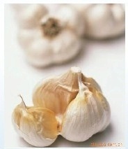 順旺農產品 優質大蒜，產地直供，保障餐桌健康