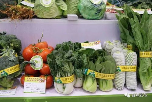 蚌埠風味，香飄全國 盤點那些讓人欲罷不能的本土美食