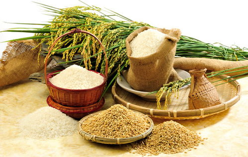 一季度國家農(nóng)產(chǎn)品質(zhì)量安全例行監(jiān)測報告顯示我國農(nóng)產(chǎn)品總體合格率保持高位