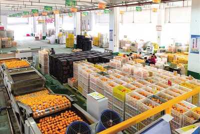 招商引資 驅(qū)動重慶從“味覺高地”邁向“產(chǎn)業(yè)高地”的農(nóng)業(yè)引擎