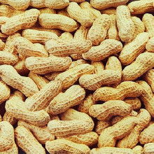 庫存農(nóng)產(chǎn)品 從源頭到市場，一站式采購指南